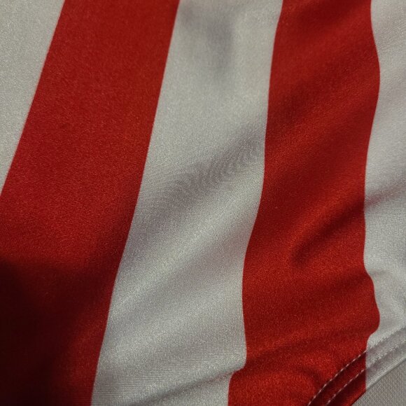 Hamilton's Theatrical Dance Costume Leotard - Picture 4 of 4